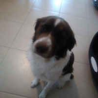Photo de profil de zabou