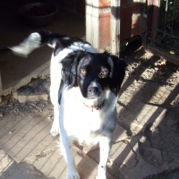 Photo de profil de Helsy