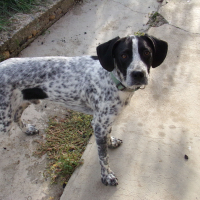 Photo de profil de Lulu