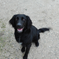 Photo de profil de Lila