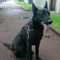 Photo de profil de Max