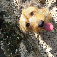 Photo de profil de mozart