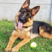 Photo de profil de Nusty
