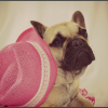 Photo de Mana
