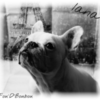 Photo de profil de Iana