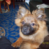 Photo de TINA