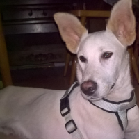 Photo de profil de Freddy
