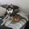 Photo de Zora