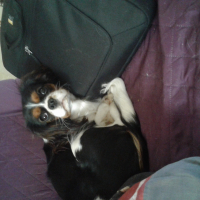Photo de profil de Milady