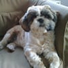Photo de Lilou