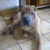 Photo de Elliot