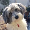 Photo de BIBA