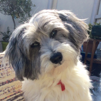 Photo de profil de BIBA