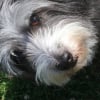 Photo de KIKA