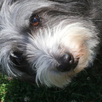 Photo de profil de KIKA