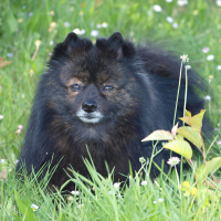 Photo de profil de Gauvain du Royaume des Bouts de Chou