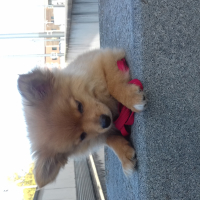 Photo de profil de Maïko