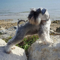 Photo de profil de Jambalaya 
