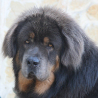 Photo de profil de h'karma kala