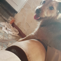 Photo de profil de Sam