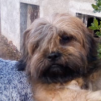 Photo de profil de Hadodock