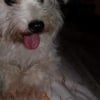 Photo de Milky