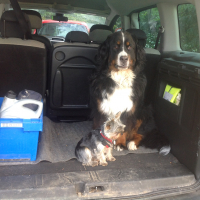 Photo de profil de Isis