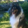 Photo de Lucky