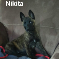 Photo de profil de Nikita des hauts de france