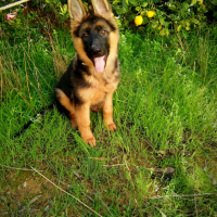 Photo de profil de Léo