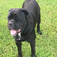 Photo de profil de Milka