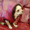 Photo de Lola
