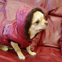 Photo de profil de Lola