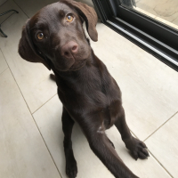 Photo de profil de Niska