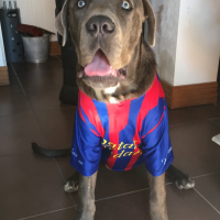 Photo de profil de Leyenne 
