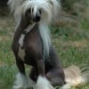 Photo de Desertwind Little Champs
