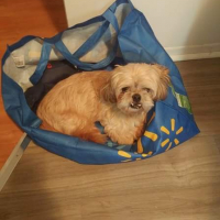 Photo de profil de Léo 