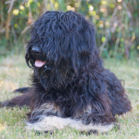 Photo de profil de Ifaty-san