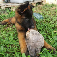 Photo de profil de NARCO
