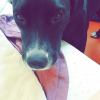 Photo de Roxy