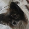 Photo de Dolly-Meï Sky Dancer