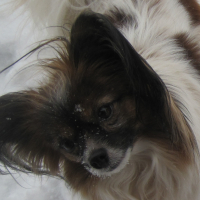 Photo de profil de Dolly-Meï Sky Dancer