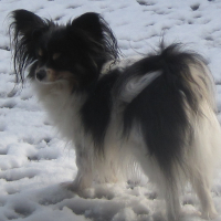 Photo de profil de Disney de la Grange Bailly