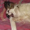 Photo de Lyli Angel