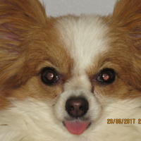Photo de profil de Lolita