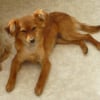 Photo de Volga