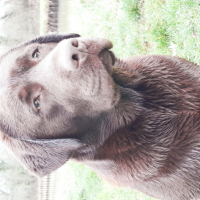 Photo de profil de MORVAN