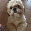 Photo de Couky