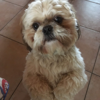 Photo de profil de Couky