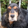 Photo de nala